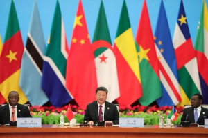 Zero Tariffs on African Exports to China : What Stakeholders on the Continent Have to Say