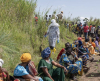 &copy; 2026 SCOOP AFRIQUE &mdash; TOUS DROITS R&Eacute;SERV&Eacute;S