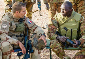 Sahel : « La France ne doit pas se réduire seulement à la force Barkhane[1] ! »