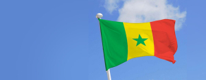 Sénégal : La crise politique ne fait pas oublier la menace terroriste persistante