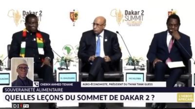 #LHebdoAfricain / Quelles leçons du Sommet Dakar 2. Analyse Cheikh Ahmed Tidiane Sy