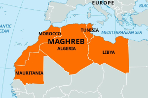 المصالحة في المغرب العربي ركن أساسي للاندماج الأفريقي