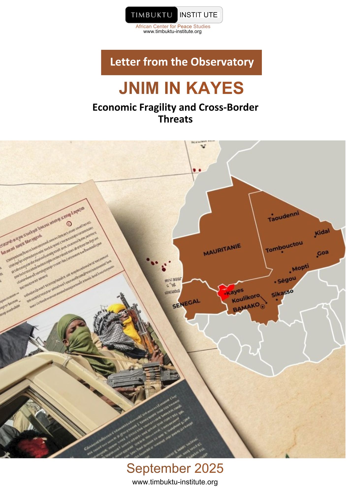 JNIM IN KAYES