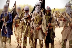 © Tout Droit Réservé 