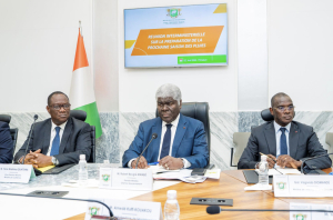 &copy; CICG-C&Ocirc;TE D&rsquo;IVOIRE PAR DR