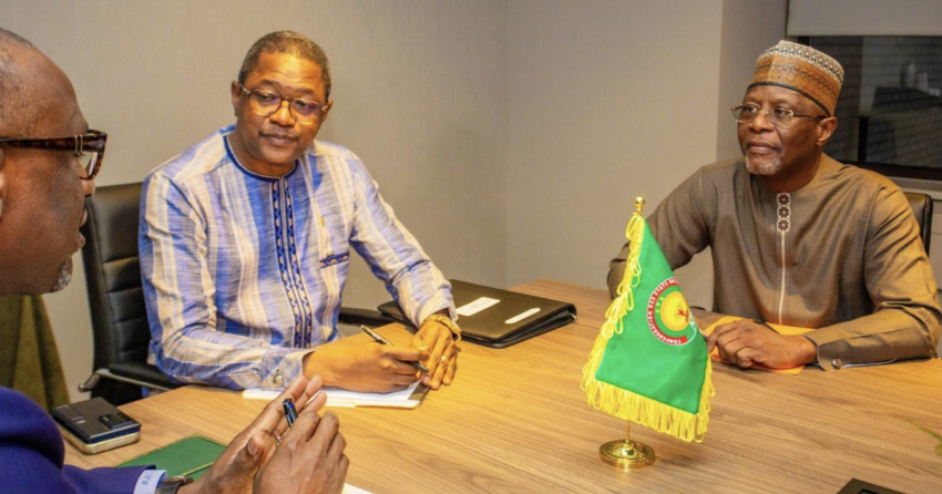Niger : The Rise of a Confederal AES Diplomacy?