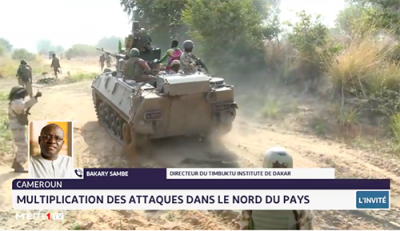 Cameroun: multiplication des attaques dans le nord du pays. Décryptage Bakary Sambe du Timbuktu Institute