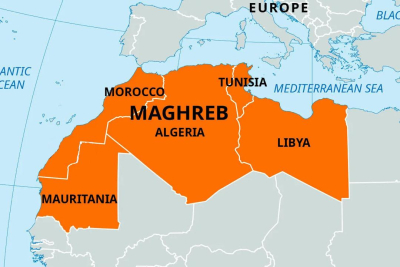 المصالحة في المغرب العربي ركن أساسي للاندماج الأفريقي