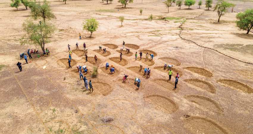 Timbuktu Institute Launches the Fragility Observatory for West and Central Africa (FOWARD)
